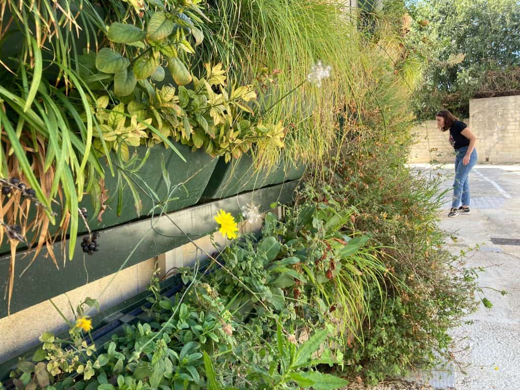 4 image green wall good practice ferla