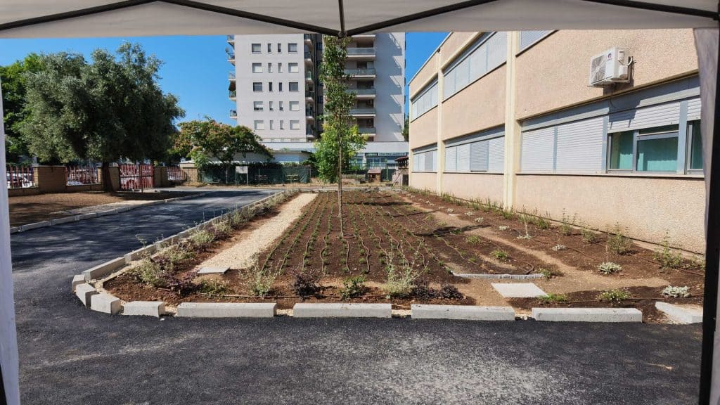 Inauguration of the urwan Roma1 area